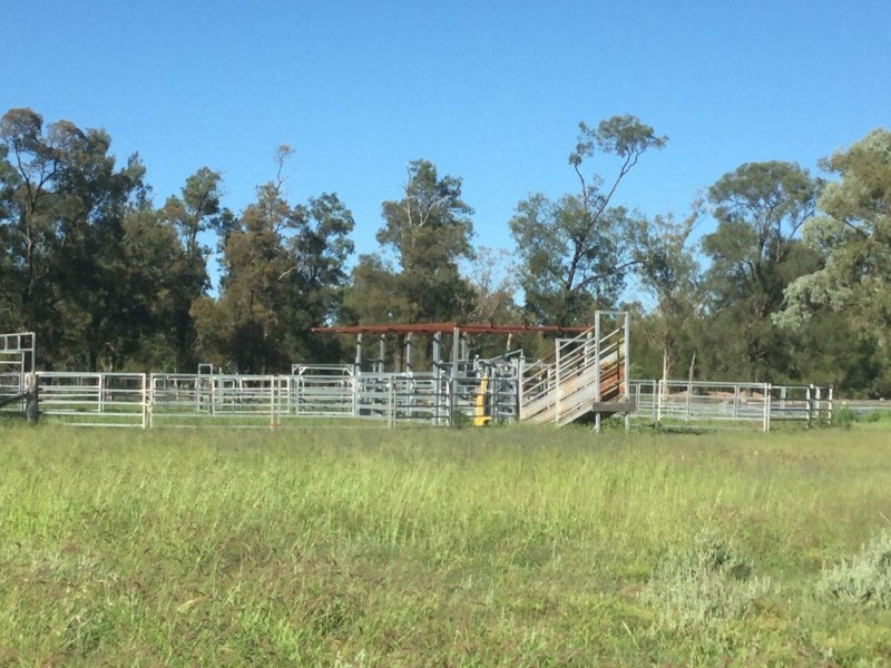 ” Karinya “, Hannaford QLD 4406