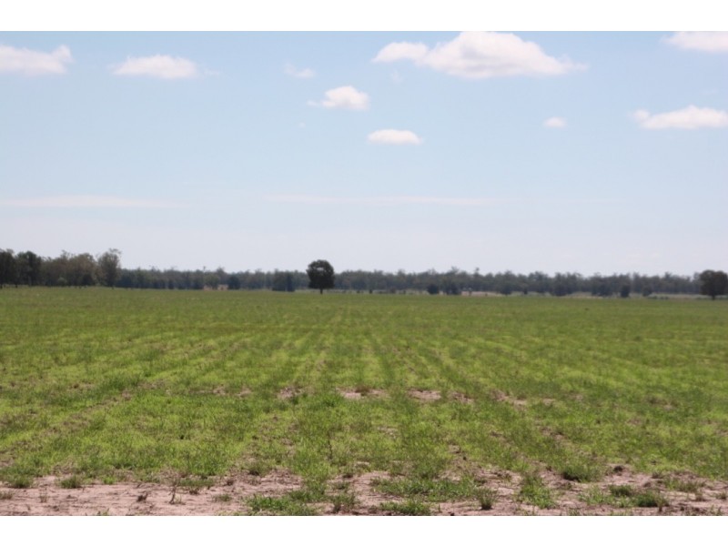 ” Karinya “, Hannaford QLD 4406