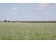 ” Karinya “, Hannaford QLD 4406