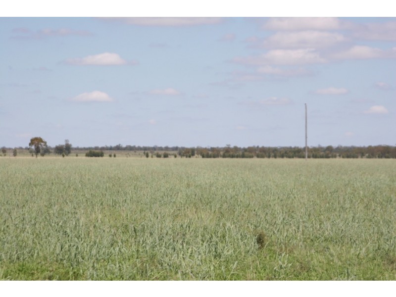 ” Karinya “, Hannaford QLD 4406