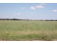 ” Karinya “, Hannaford QLD 4406