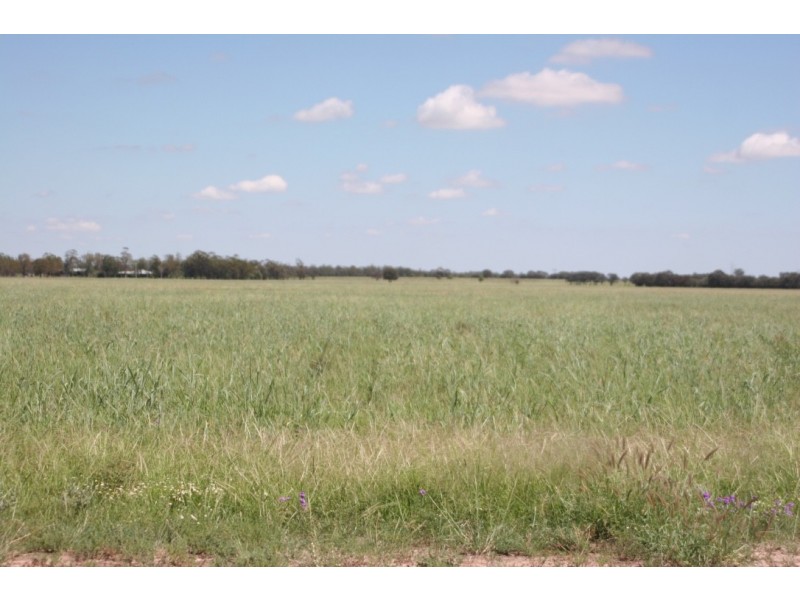 ” Karinya “, Hannaford QLD 4406