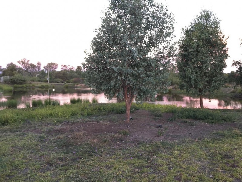 38672 Leichhardt Highway, Miles QLD 4415