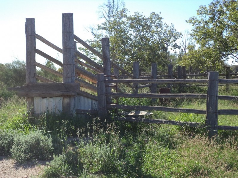 Lot 8 Butlers Road, Drillham QLD 4424