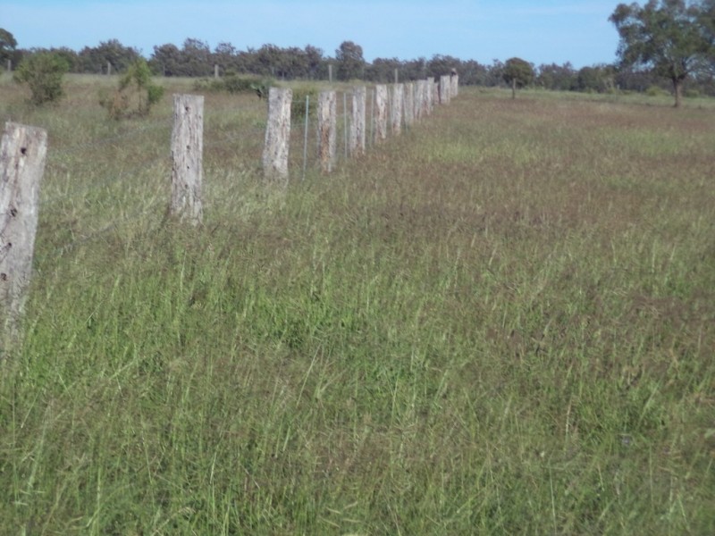 Lot 8 Butlers Road, Drillham QLD 4424