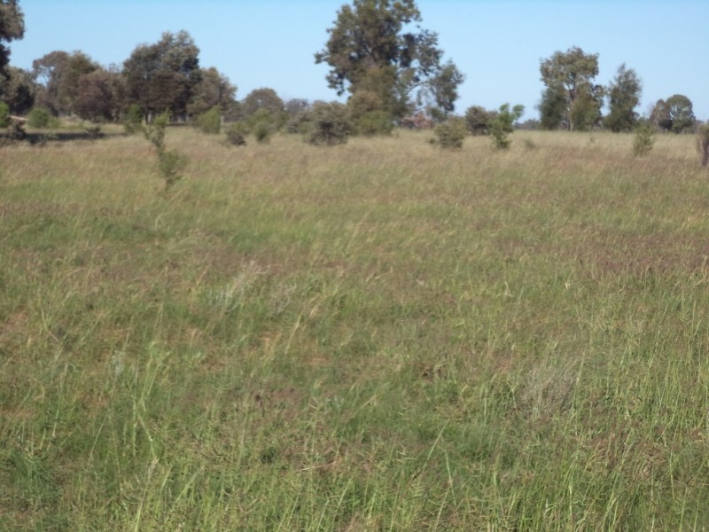 Lot 8 Butlers Road, Drillham QLD 4424