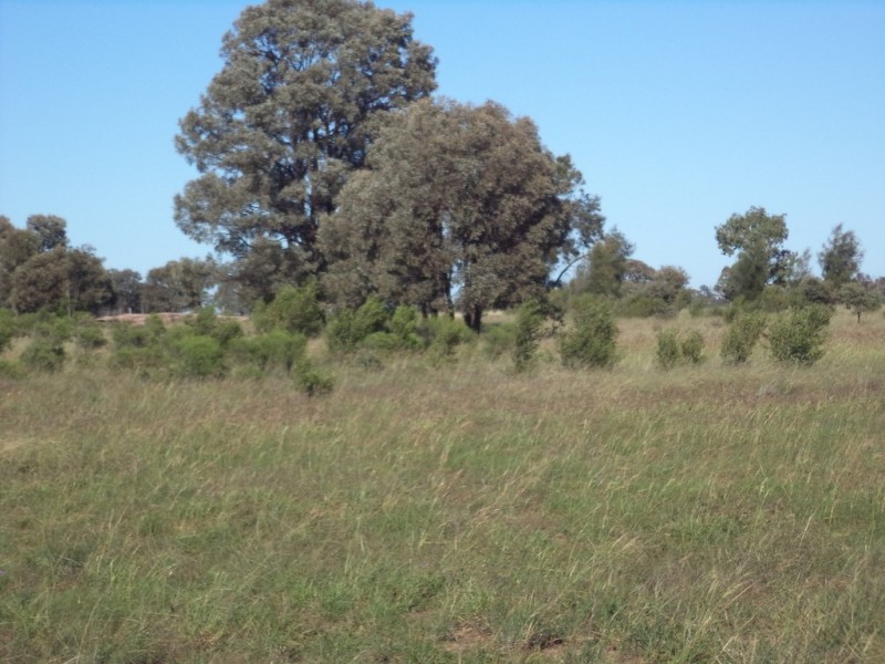 Lot 8 Butlers Road, Drillham QLD 4424