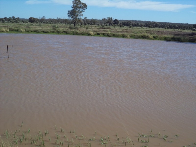 Lot 8 Butlers Road, Drillham QLD 4424