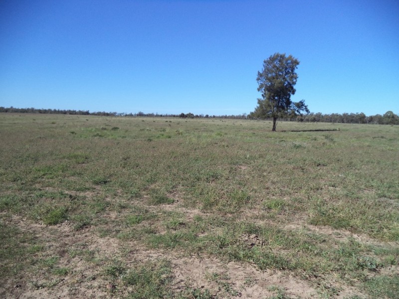 Lot 8 Butlers Road, Drillham QLD 4424