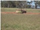 Lot 8 Butlers Road, Drillham QLD 4424