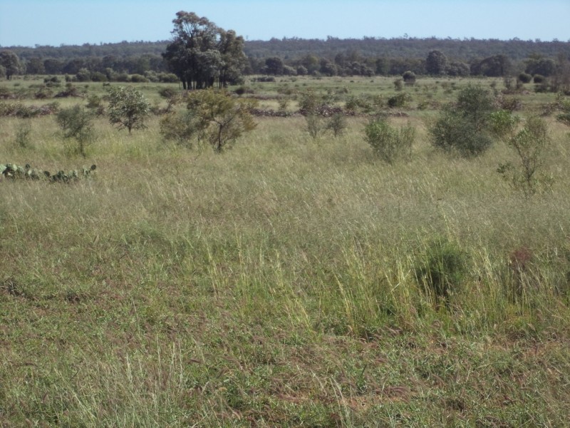 Lot 8 Butlers Road, Drillham QLD 4424