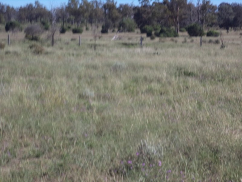 Lot 8 Butlers Road, Drillham QLD 4424