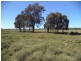 Lot 8 Butlers Road, Drillham QLD 4424