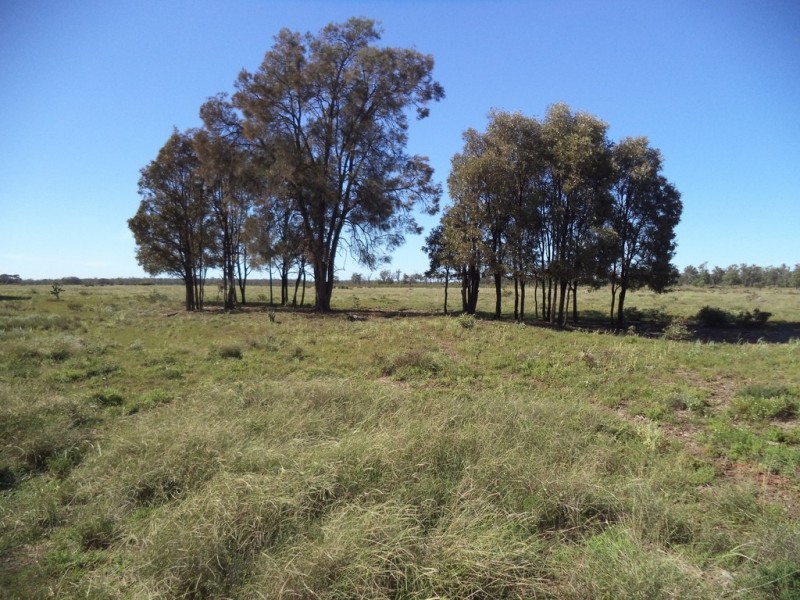 Lot 8 Butlers Road, Drillham QLD 4424