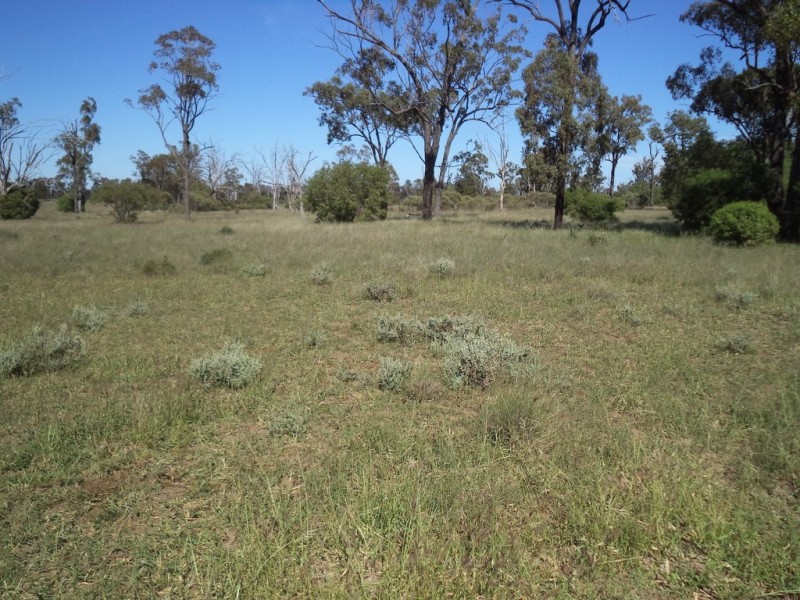 Lot 8 Butlers Road, Drillham QLD 4424