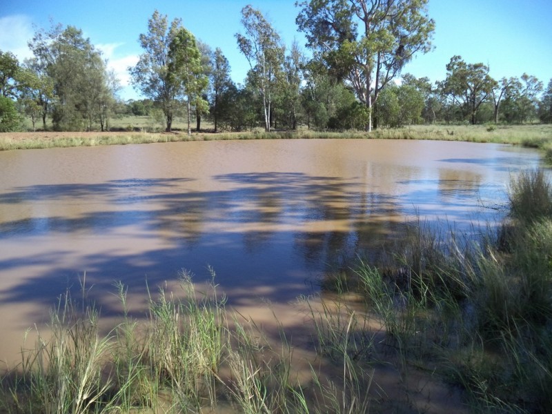 Lot 8 Butlers Road, Drillham QLD 4424