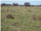 Lot 8 Butlers Road, Drillham QLD 4424