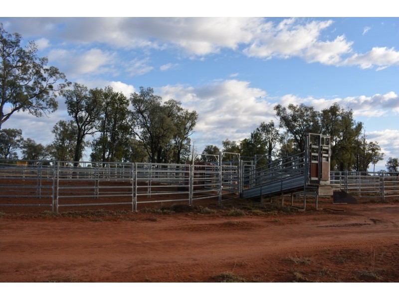 TIPPENDALE Balonne Highway, Bollon QLD 4488