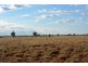 TIPPENDALE Balonne Highway, Bollon QLD 4488