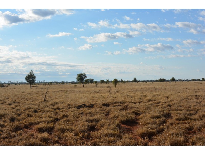 TIPPENDALE Balonne Highway, Bollon QLD 4488