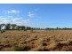 TIPPENDALE Balonne Highway, Bollon QLD 4488