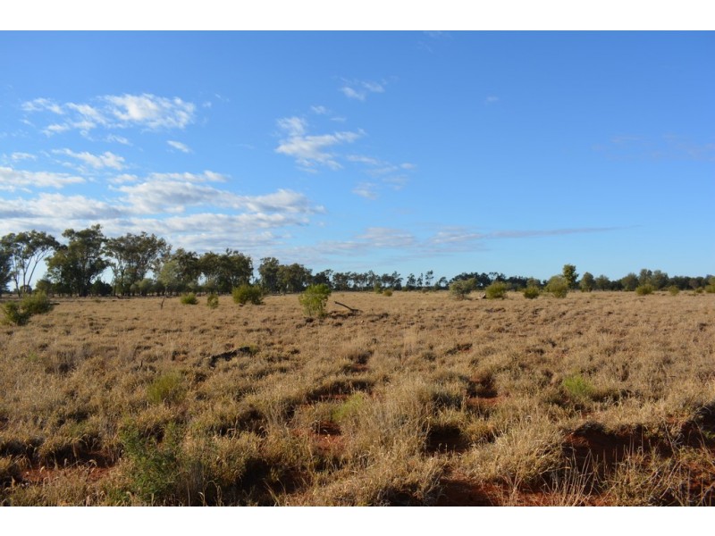 TIPPENDALE Balonne Highway, Bollon QLD 4488
