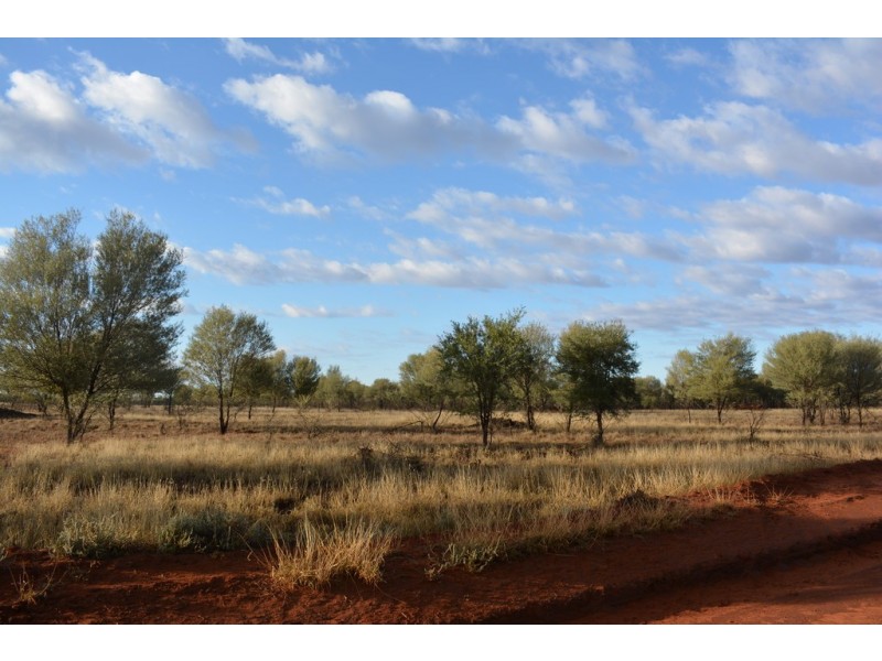 TIPPENDALE Balonne Highway, Bollon QLD 4488
