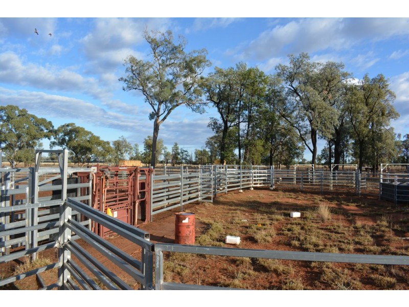TIPPENDALE Balonne Highway, Bollon QLD 4488