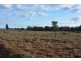 TIPPENDALE Balonne Highway, Bollon QLD 4488