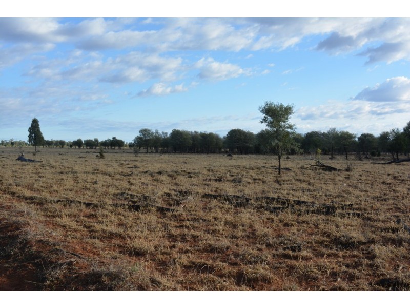 TIPPENDALE Balonne Highway, Bollon QLD 4488