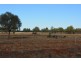 TIPPENDALE Balonne Highway, Bollon QLD 4488