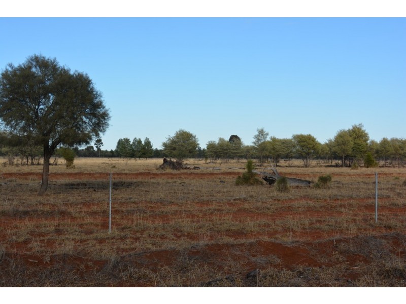 TIPPENDALE Balonne Highway, Bollon QLD 4488