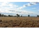 TIPPENDALE Balonne Highway, Bollon QLD 4488