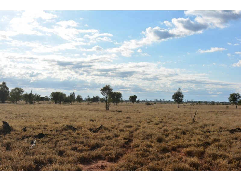 TIPPENDALE Balonne Highway, Bollon QLD 4488