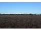 TIPPENDALE Balonne Highway, Bollon QLD 4488