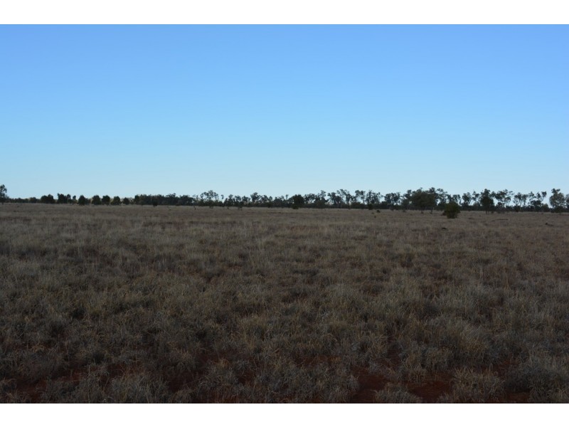 TIPPENDALE Balonne Highway, Bollon QLD 4488