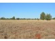 TIPPENDALE Balonne Highway, Bollon QLD 4488