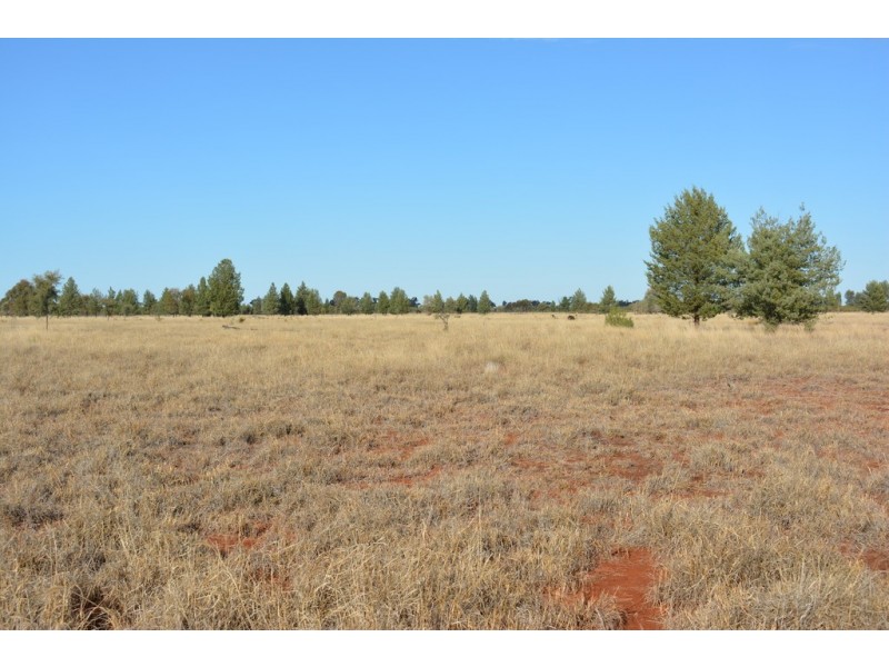 TIPPENDALE Balonne Highway, Bollon QLD 4488