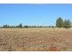 TIPPENDALE Balonne Highway, Bollon QLD 4488