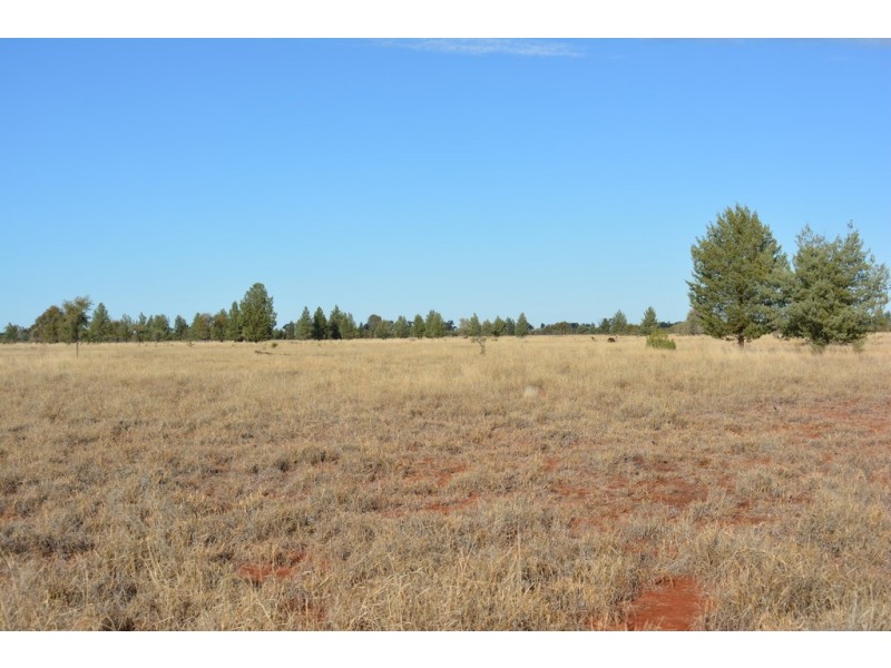TIPPENDALE Balonne Highway, Bollon QLD 4488