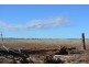 TIPPENDALE Balonne Highway, Bollon QLD 4488