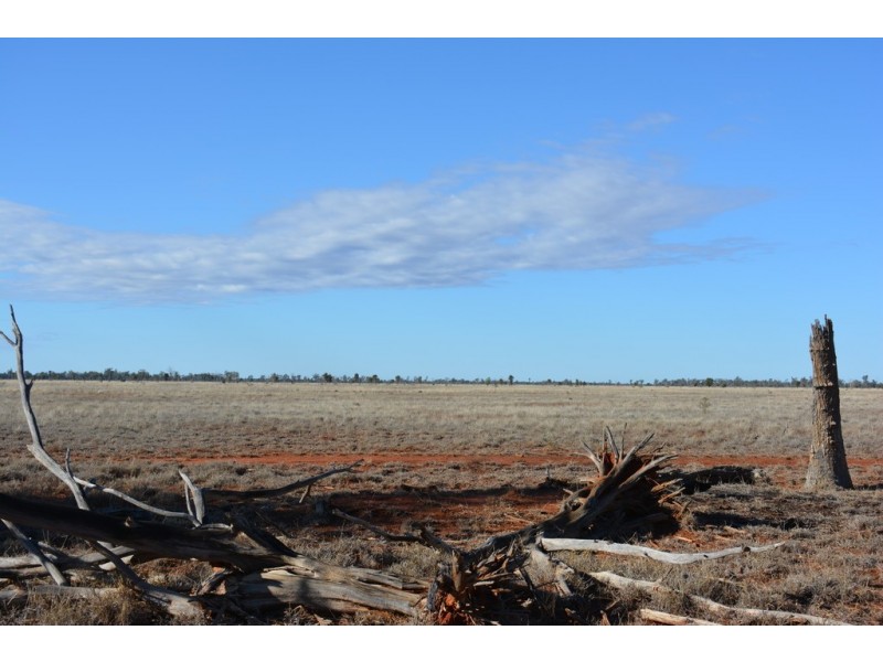 TIPPENDALE Balonne Highway, Bollon QLD 4488
