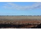 TIPPENDALE Balonne Highway, Bollon QLD 4488