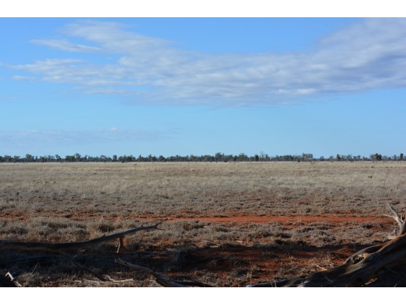 TIPPENDALE Balonne Highway, Bollon QLD 4488
