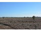 TIPPENDALE Balonne Highway, Bollon QLD 4488