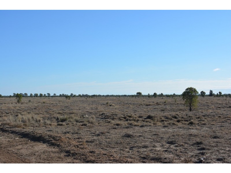 TIPPENDALE Balonne Highway, Bollon QLD 4488
