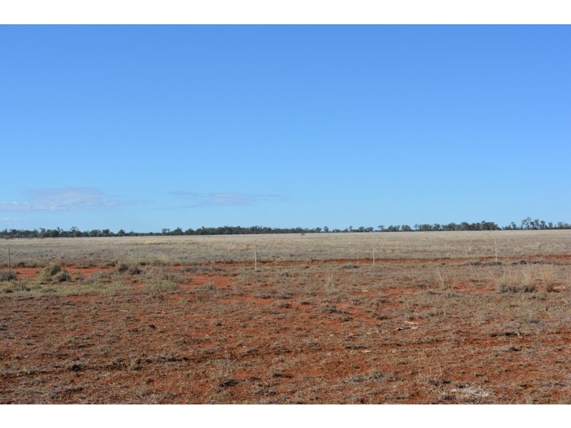 TIPPENDALE Balonne Highway, Bollon QLD 4488