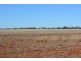 TIPPENDALE Balonne Highway, Bollon QLD 4488