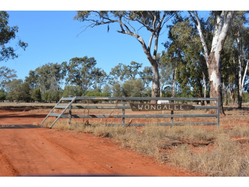 Wongalee Honeymah Lane, St George QLD 4487