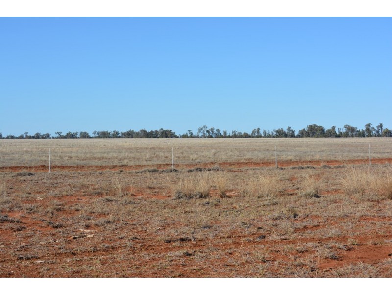 Wongalee Honeymah Lane, St George QLD 4487